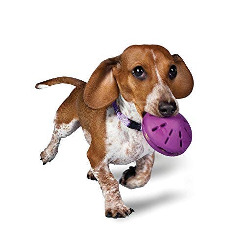 Imagen frontal de PetSafe - Juguete dispensador de Dulces para Perros, tamaño XS, pequeño, Mediano y Grande, Púrpura, Pequeño